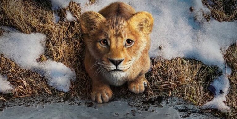 Disney Mufasa The Lion King 2024